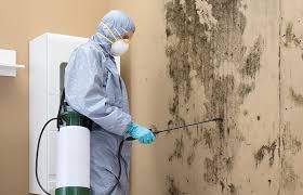 Mold Remediation for Vacation Homes in North Valley Stream, NY